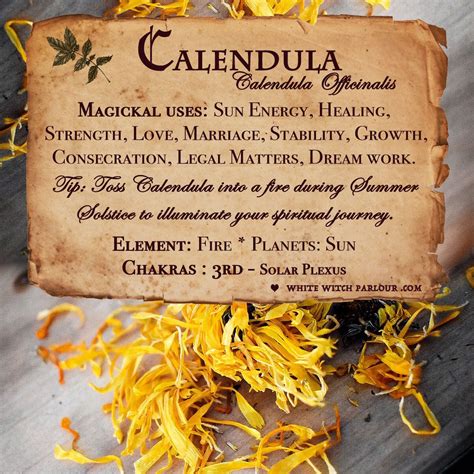 Unearthing Ancient Rituals: Unveiling the Spell of the Golden Flower